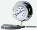 Capillary Thermometer, with Stainless Steel Case and Back Flange
